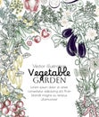 Vector vegetable garden border Royalty Free Stock Photo